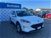 Ford Kuga 1.5 EcoBlue 120 CV 2WD Titanium  del 2020 usata a Firenze (10)
