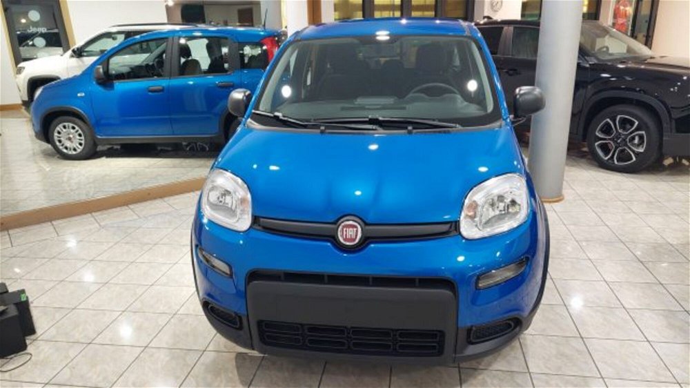 Fiat Panda 1.0 FireFly S&S Hybrid  nuova a Palazzolo sull'Oglio (2)