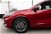 Ford Kuga Kuga 1.5 ecoboost ST-Line X 2wd 150cv del 2021 usata a Silea (7)