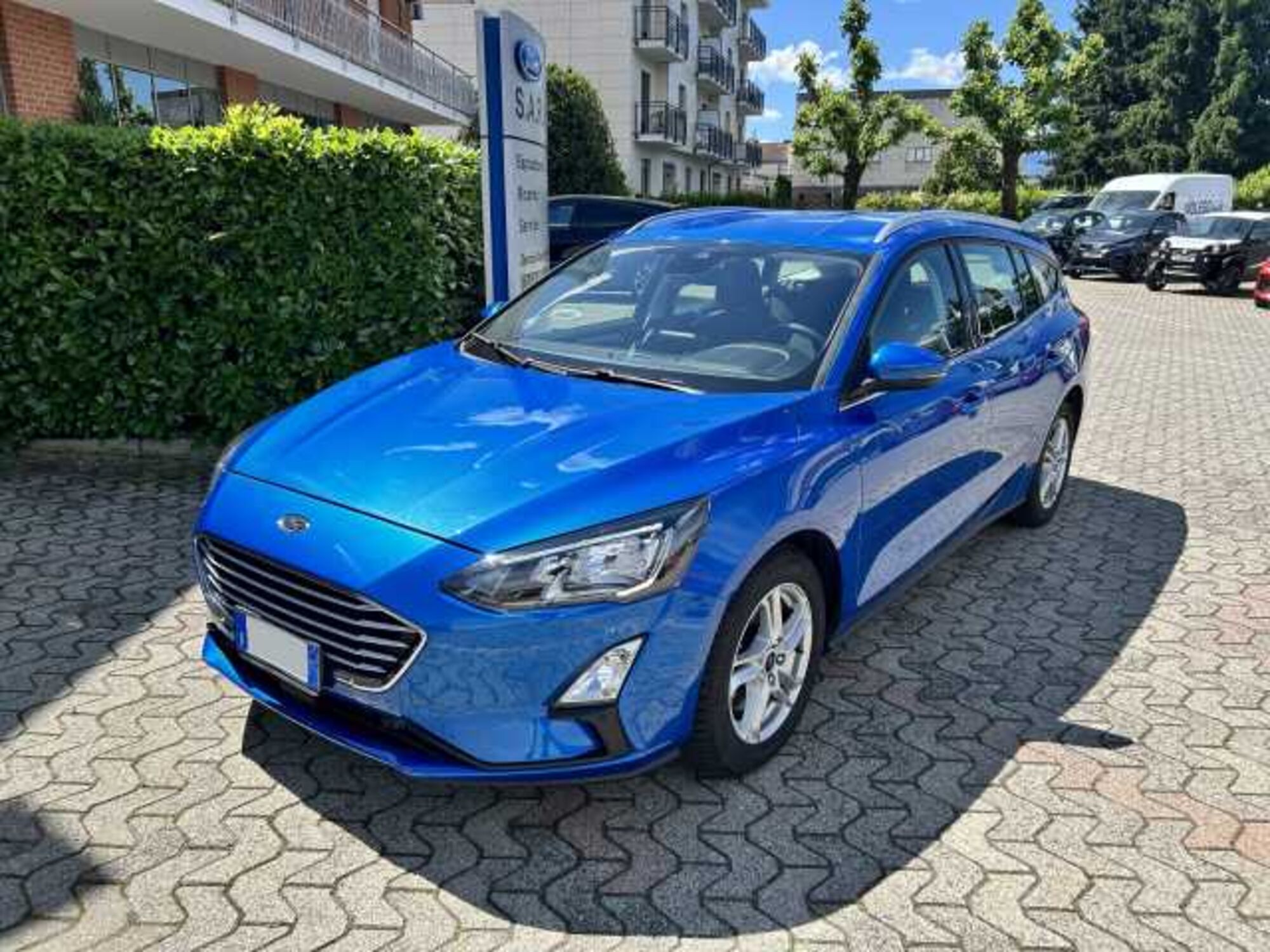 Ford Focus Station Wagon 1.5 EcoBlue 120 CV automatico SW Business  del 2020 usata a Airasca