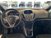 Ford B-Max B-Max 1.4 90 CV GPL Plus del 2017 usata a Alba (8)
