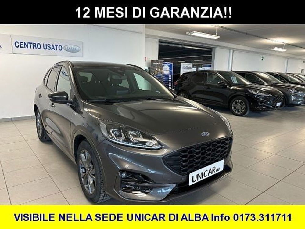 Ford Kuga usata a Cuneo (2)