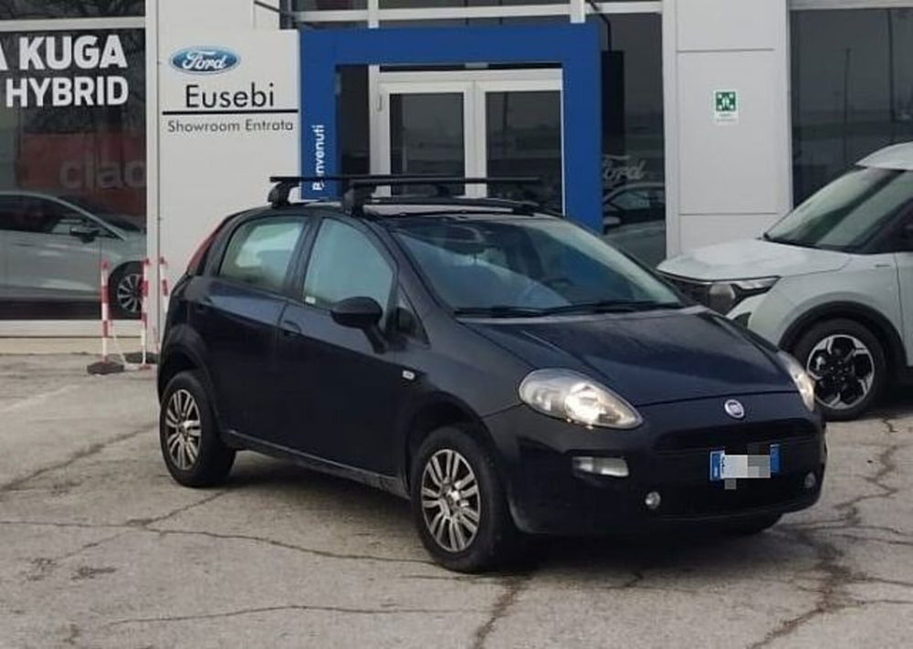 Fiat Punto usata a Pesaro-Urbino