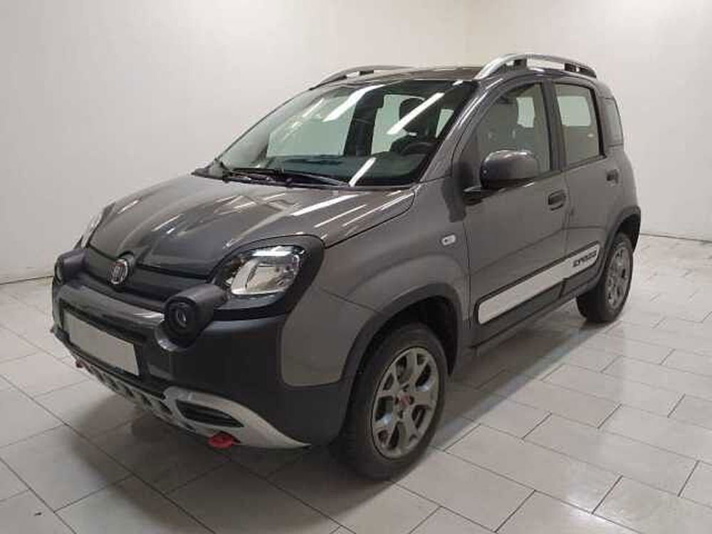 Fiat Panda usata a Cuneo