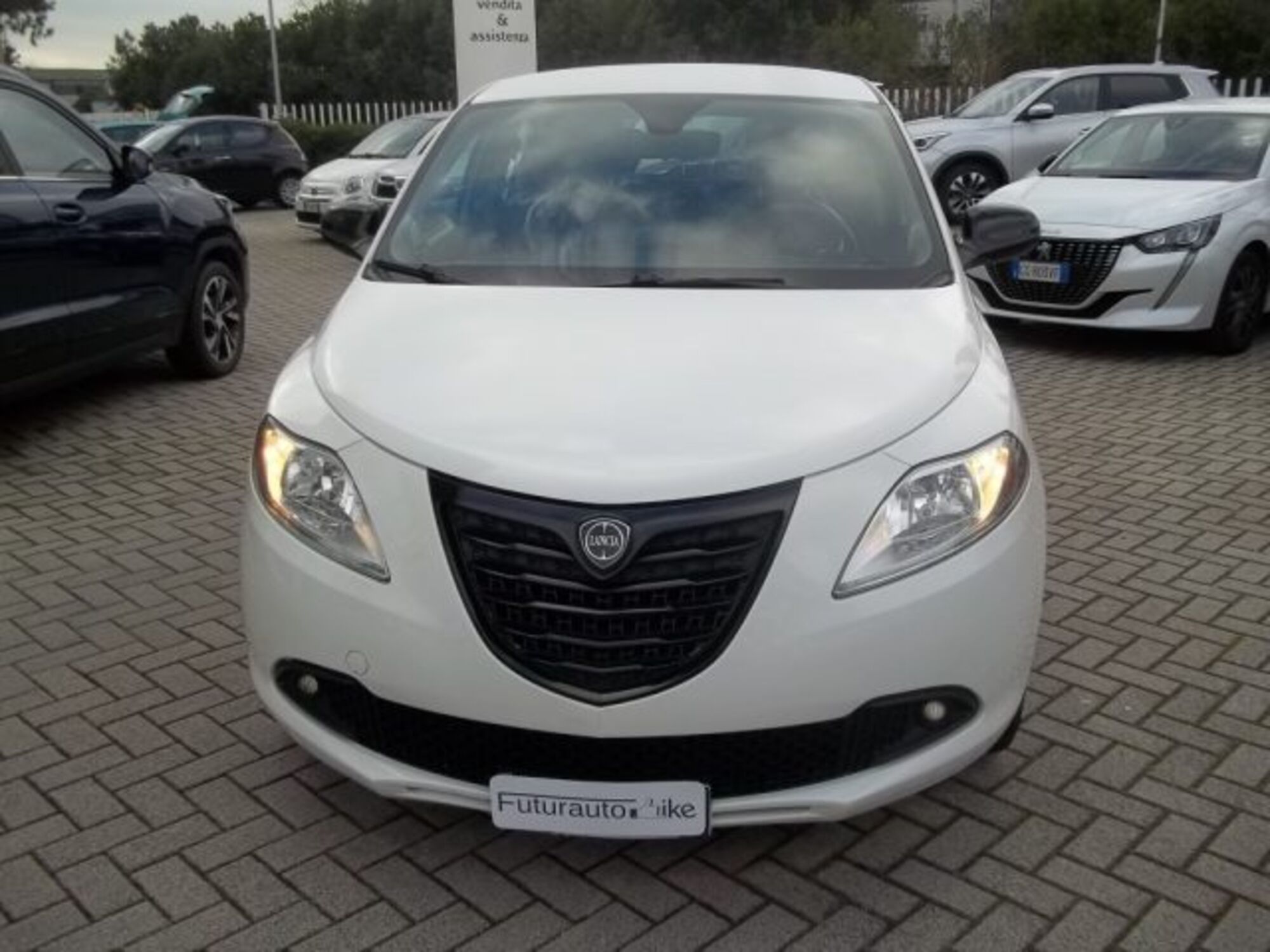 Lancia Ypsilon 1.2 69 CV 5 porte Elefantino  del 2014 usata a Pisa