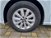 SEAT Ibiza 1.6 TDI 80 CV 5 porte Business del 2018 usata a Monopoli (13)