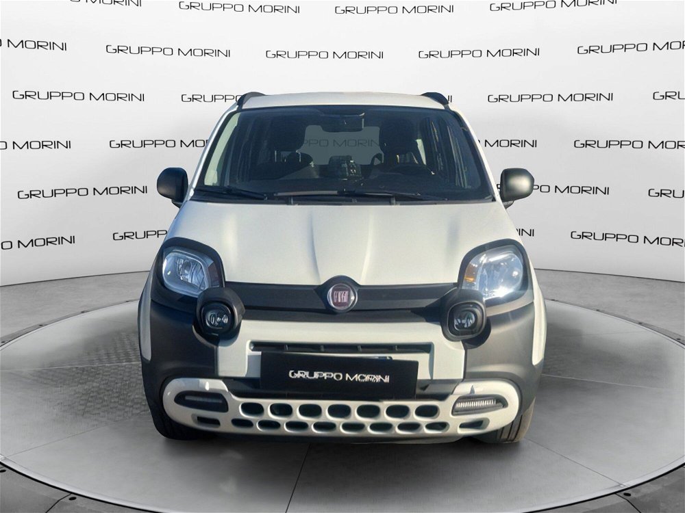 Fiat Panda 1.0 FireFly S&S Hybrid City Cross  del 2020 usata a Imola (3)