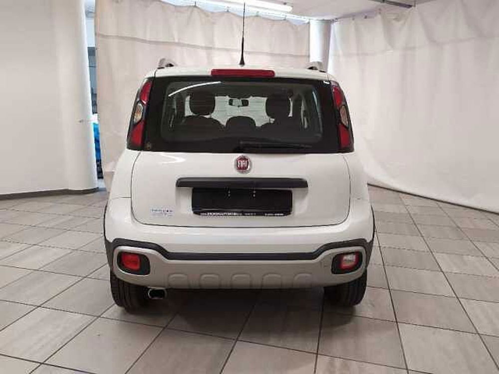 Fiat Panda usata a Cuneo (7)