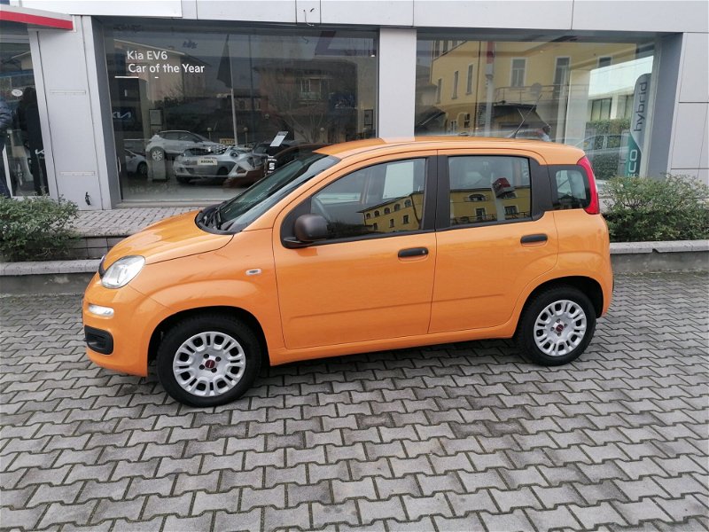 Fiat Panda 1.2 Easy del 2019 usata a Brescia
