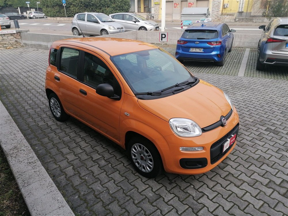 Fiat Panda 1.2 Easy  del 2019 usata a Brescia (4)
