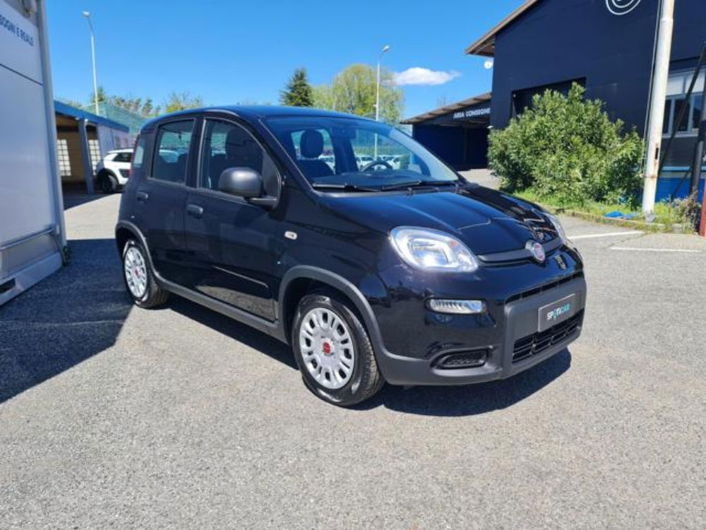 Fiat Panda nuova a Torino (9)