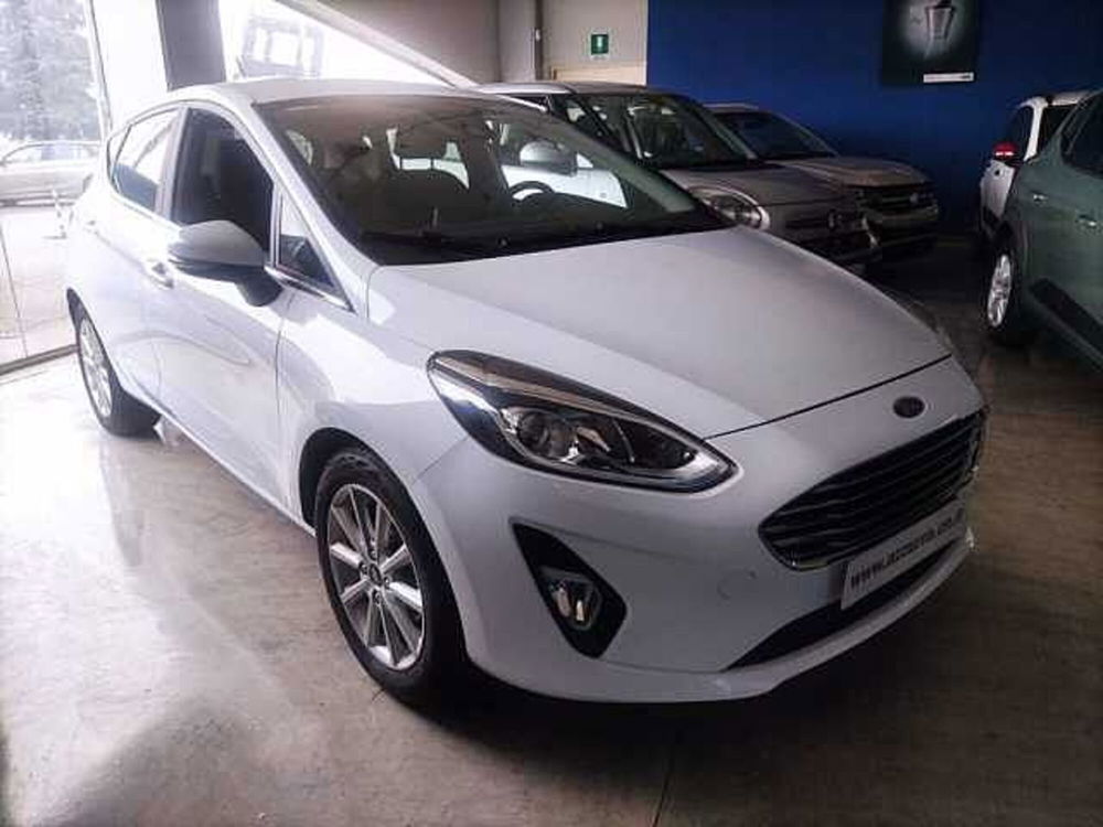 Ford Fiesta usata a Cuneo (3)