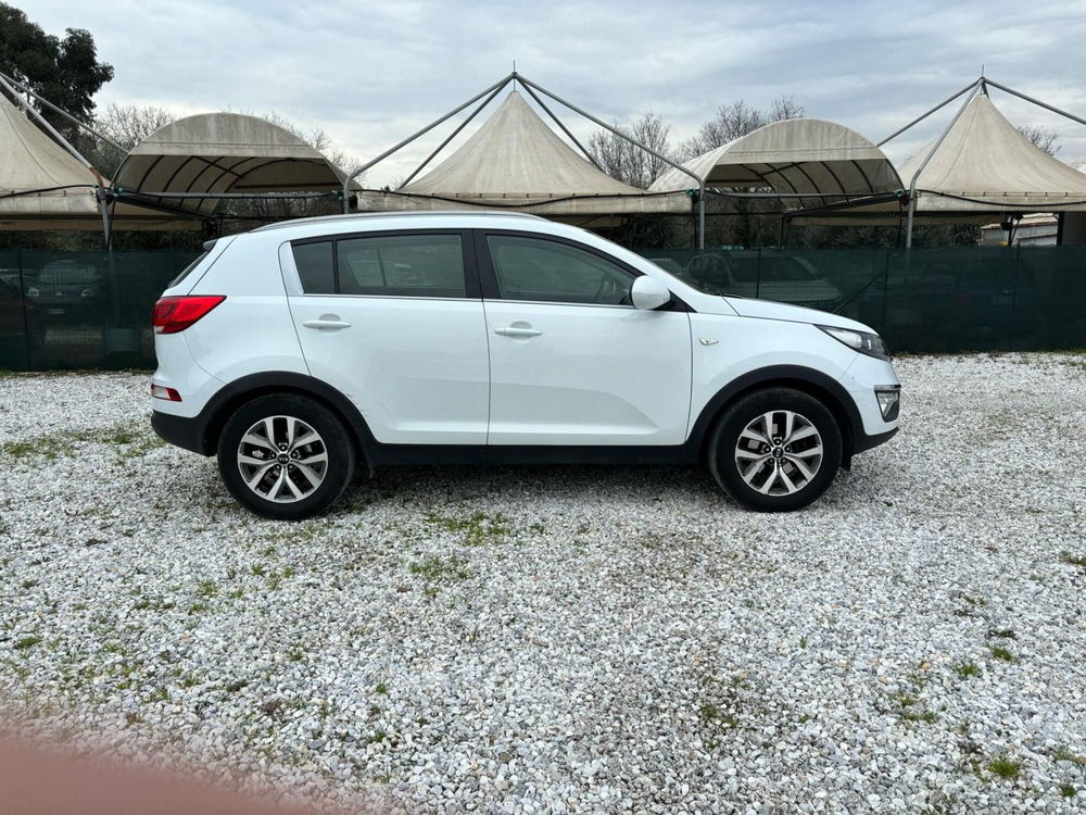 Kia Sportage usata a Firenze (7)