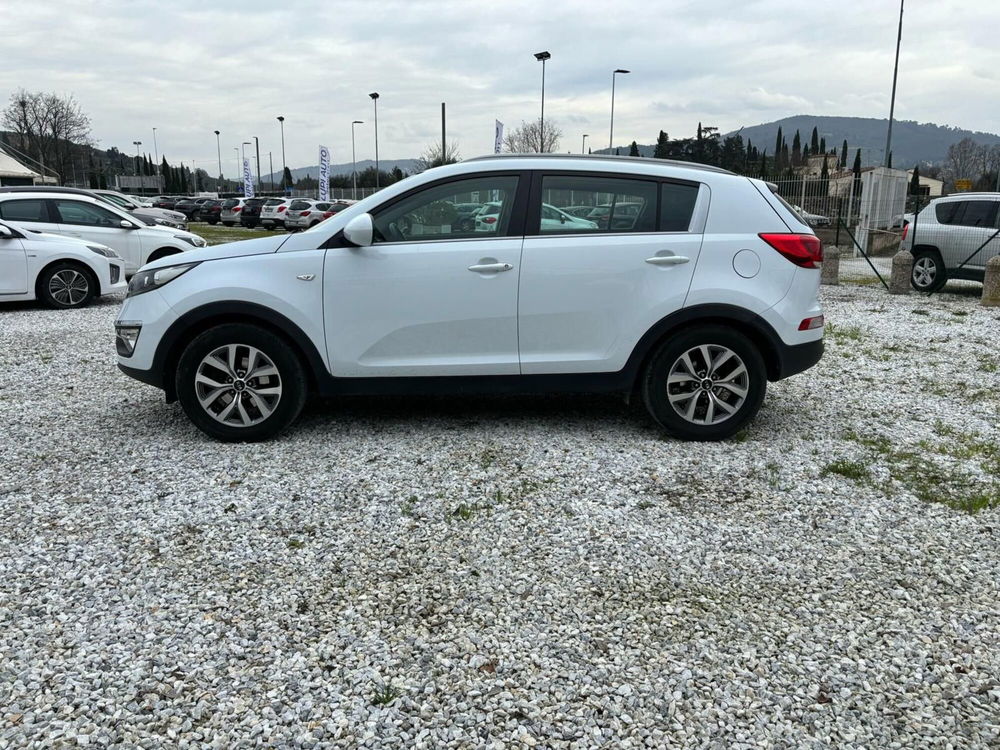 Kia Sportage usata a Firenze (9)