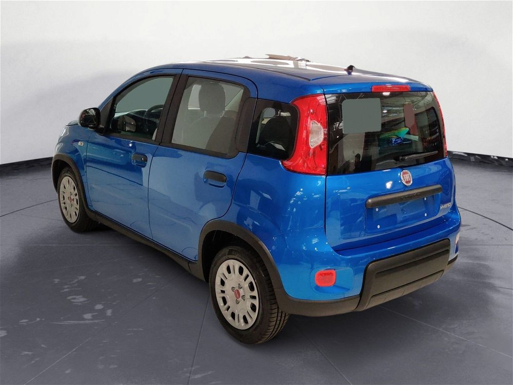 Fiat Panda 1.0 FireFly S&S Hybrid Easy nuova a Pordenone (3)