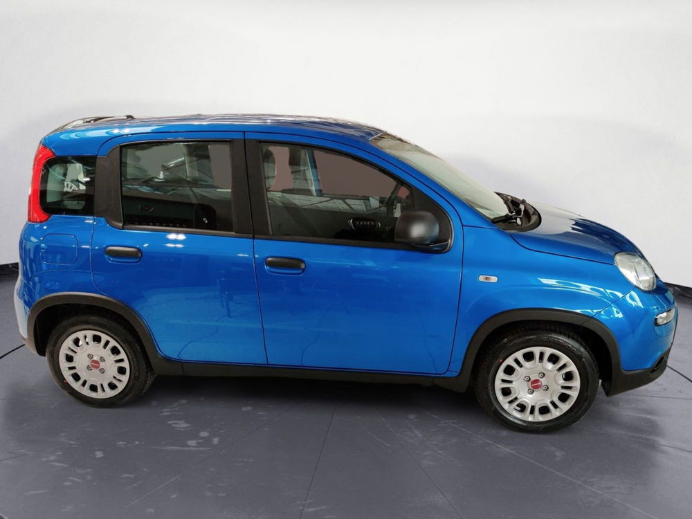 Fiat Panda Cross nuova a Pordenone (6)