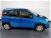 Fiat Panda 1.0 FireFly S&S Hybrid City Cross  nuova a Pordenone (6)