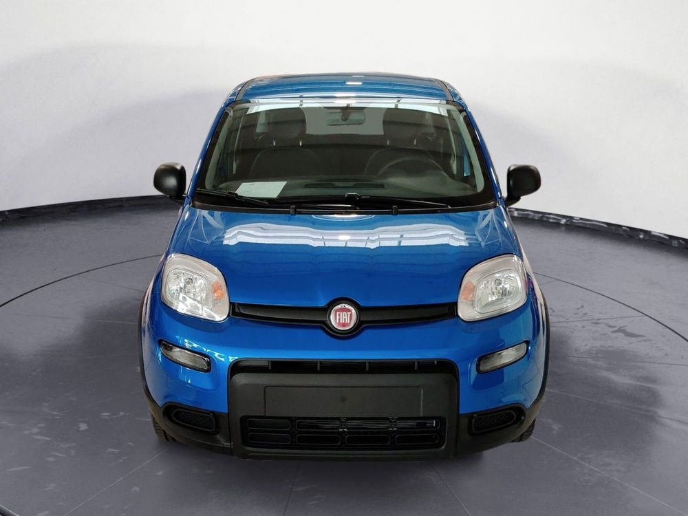 Fiat Panda Cross nuova a Pordenone (8)