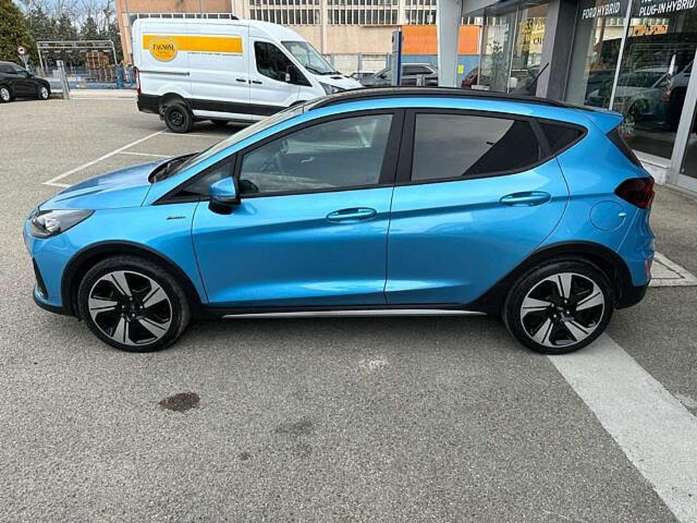 Ford Fiesta usata a Pesaro-Urbino (4)