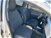 Toyota Yaris 1.0 5 porte Cool  del 2017 usata a Empoli (13)