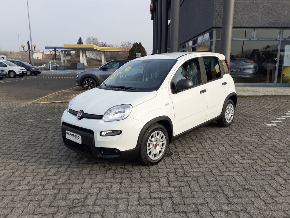 Fiat Panda 1.0 FireFly S&S Hybrid Easy nuova a Fidenza (3)