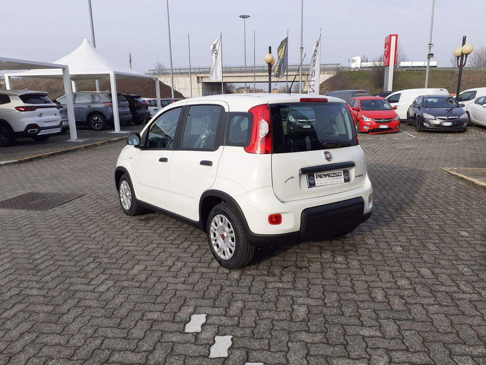 Fiat Panda 1.0 FireFly S&S Hybrid Easy nuova a Fidenza (5)