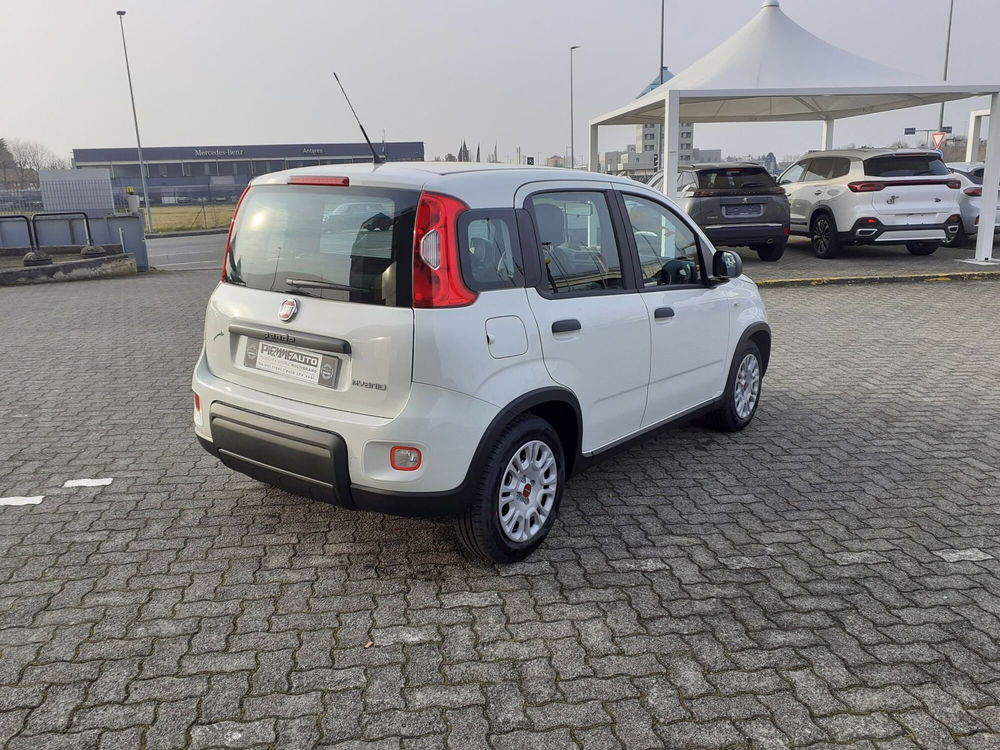 Fiat Panda Cross nuova a Parma (7)