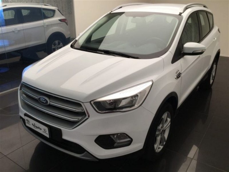Ford Kuga 1.5 TDCI 120 CV S&S 2WD Business  del 2019 usata a Cuneo