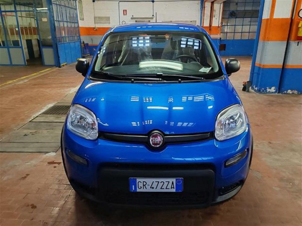 Fiat Panda 1.0 FireFly S&S Hybrid  nuova a Torino (2)