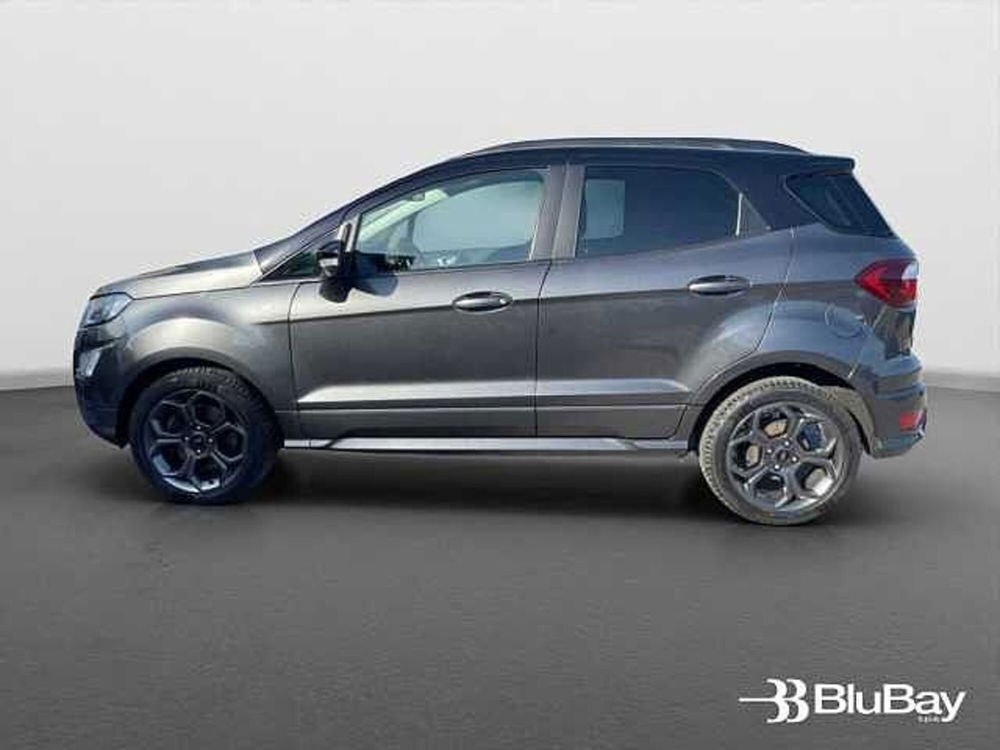 Ford EcoSport usata a Livorno (11)