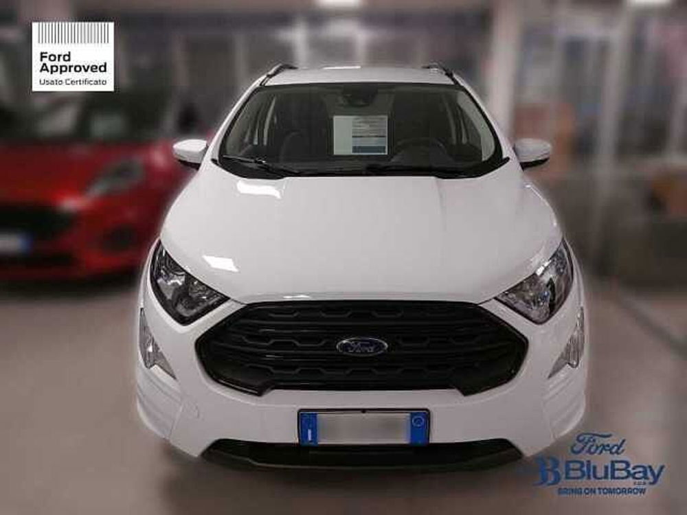 Ford EcoSport usata a Livorno (2)