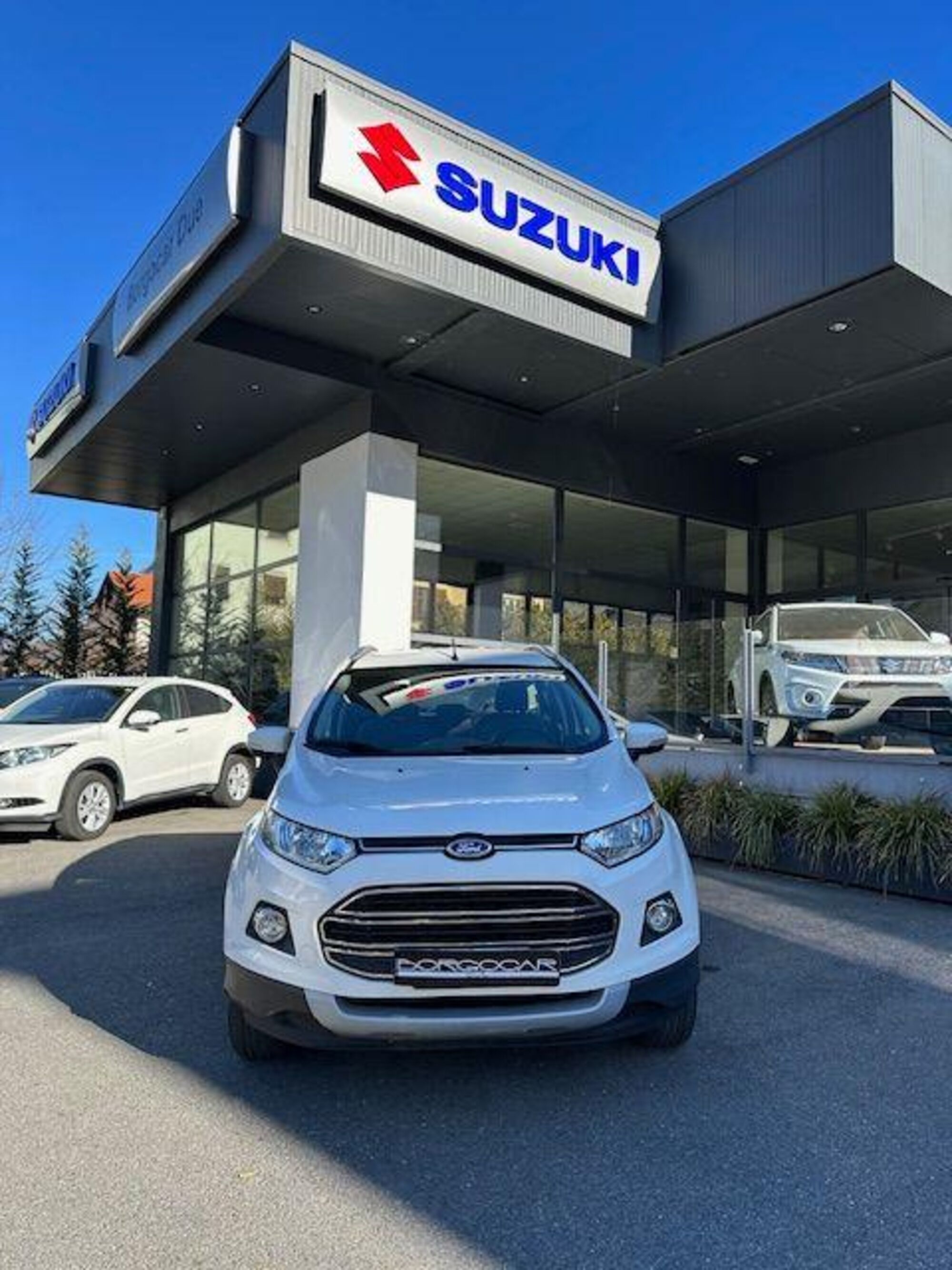 Ford EcoSport 1.5 TDCi 90 CV del 2015 usata a Serravalle Sesia