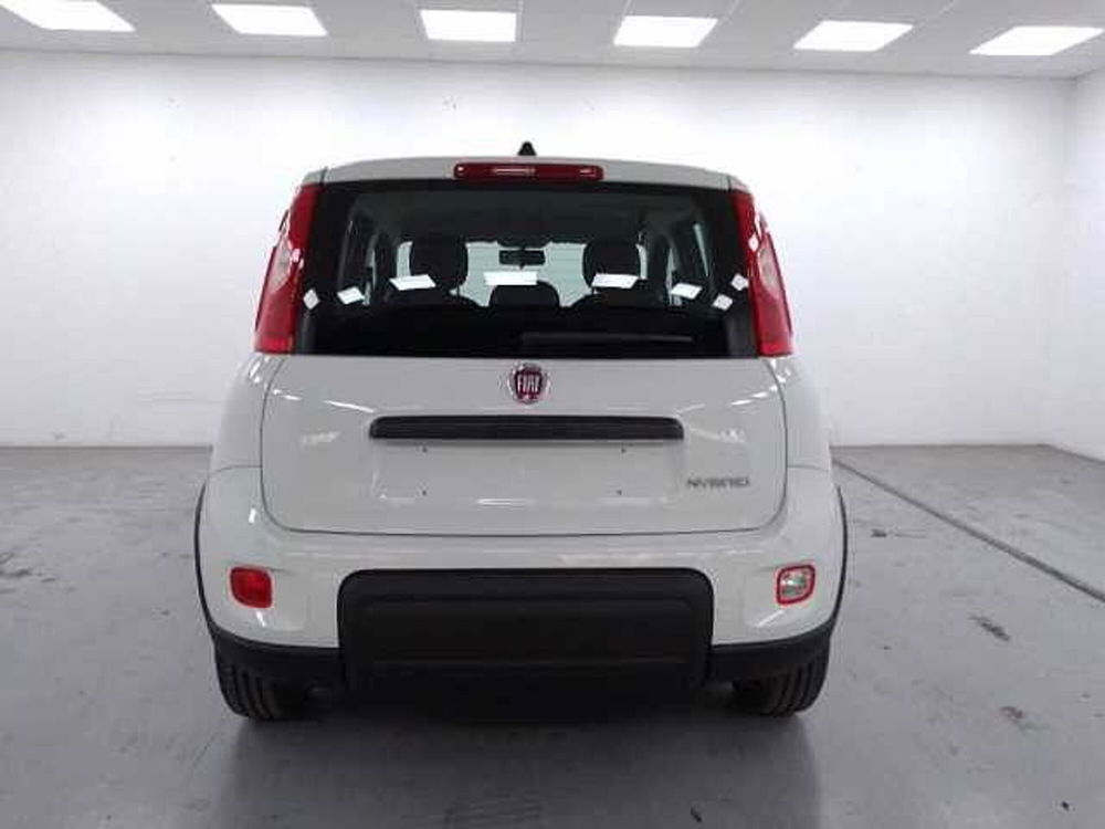 Fiat Panda nuova a Cuneo (7)