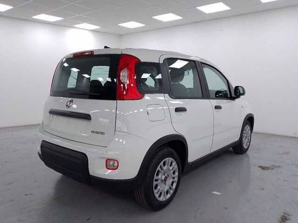 Fiat Panda nuova a Cuneo (8)