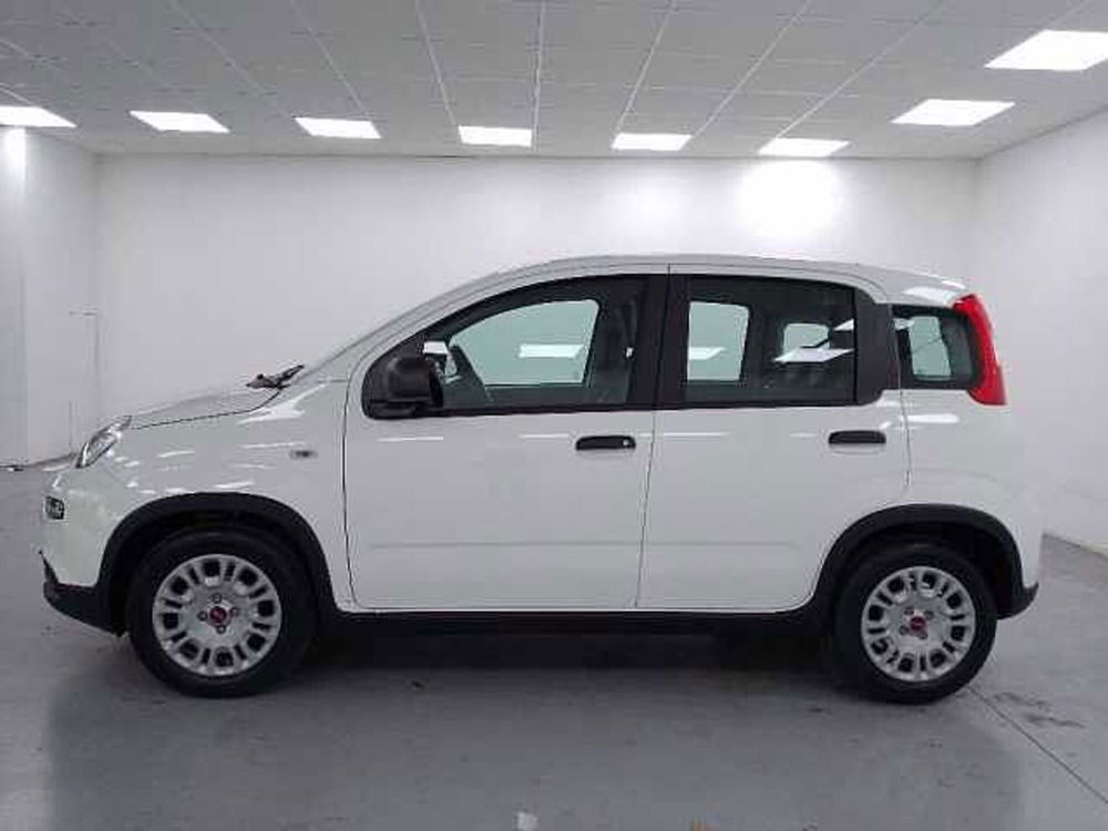 Fiat Panda 1.0 firefly hybrid s&s 70cv 5p.ti nuova a Cuneo (5)