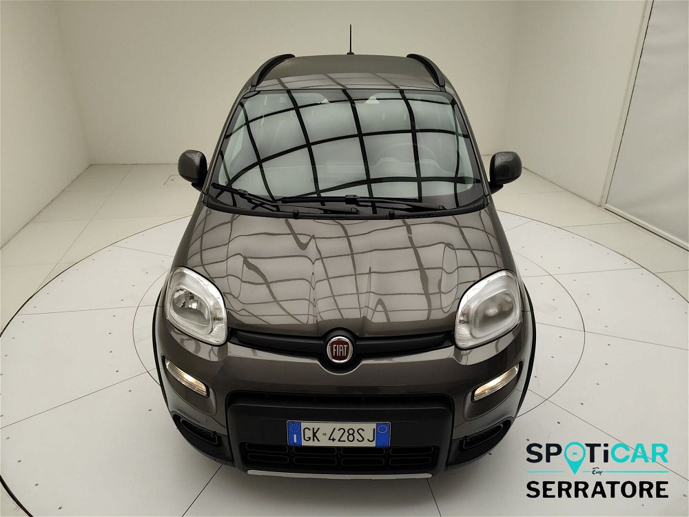 Fiat Panda (2011-->>) del 2022 usata a Erba (2)