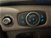 Ford Transit Furgone 330 2.0TDCi EcoBlue 170CV PM-TM Furgone Trend  del 2021 usata a Concesio (13)