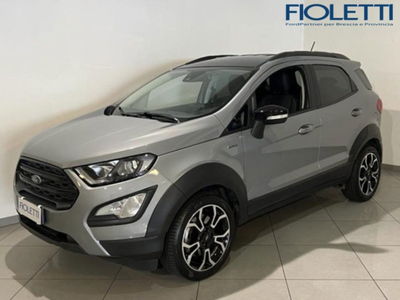 Ford EcoSport 1.0 EcoBoost 125 CV Start&amp;Stop Active del 2021 usata a Concesio