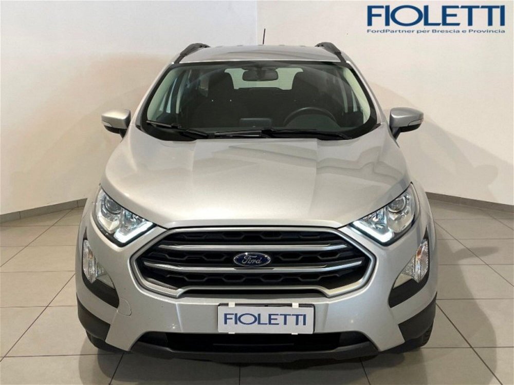 Ford EcoSport 1.0 EcoBoost 125 CV Start&Stop aut. Business  del 2019 usata a Concesio (3)