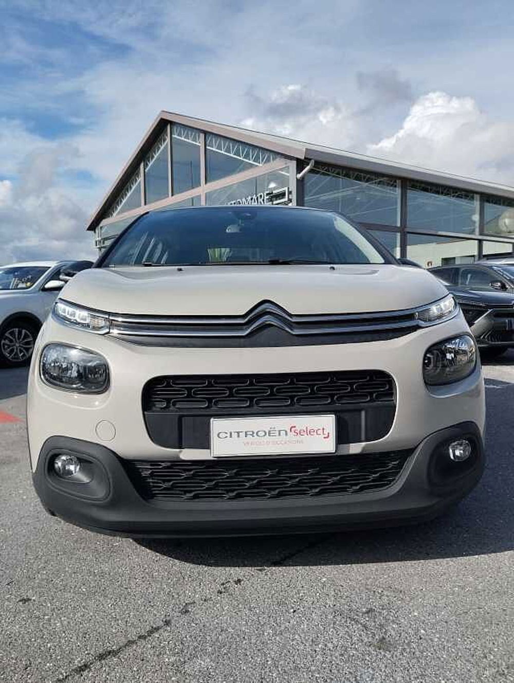 Citroen C3 usata a Savona (15)