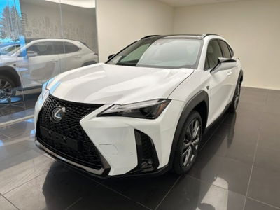 Lexus UX Hybrid 4WD Design nuova a Cuneo