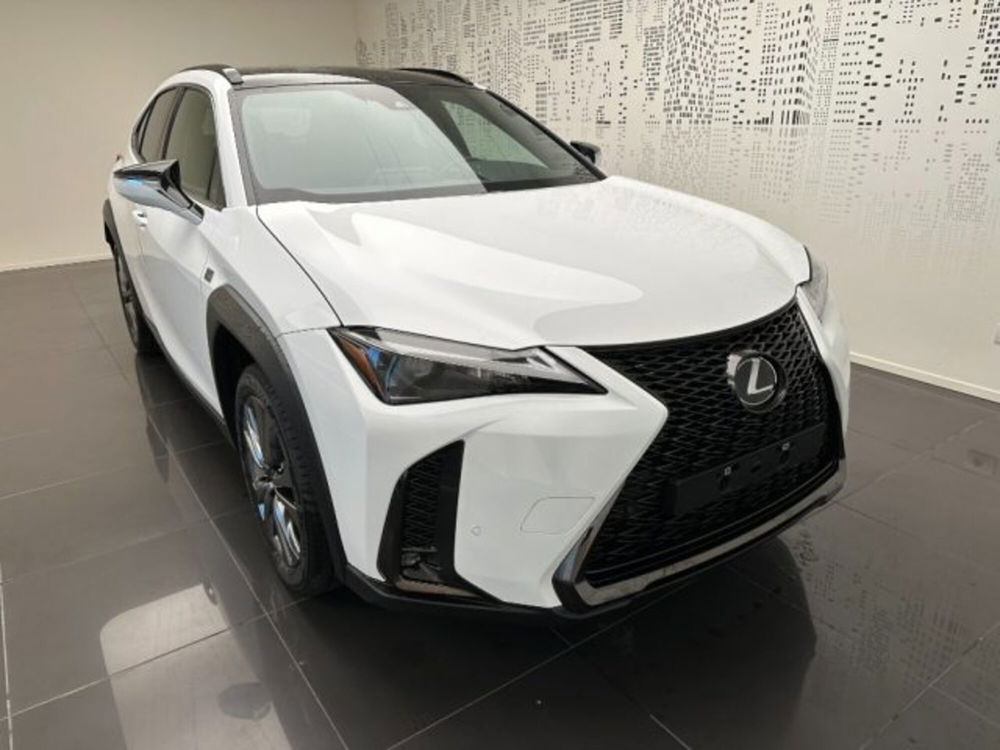 Lexus UX nuova a Cuneo (2)