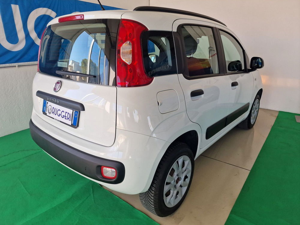 Fiat Panda usata a Rimini (6)