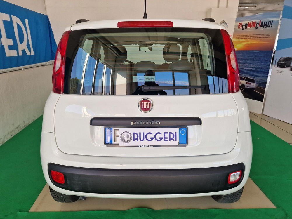 Fiat Panda usata a Rimini (7)