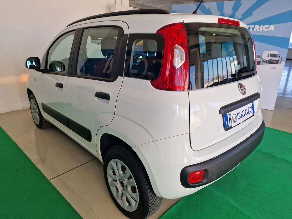 Fiat Panda usata a Rimini (8)