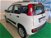 Fiat Panda 0.9 TwinAir Turbo Natural Power Easy  del 2016 usata a Rimini (8)
