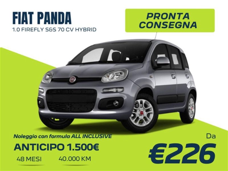 Fiat Panda 1.0 FireFly S&S Hybrid City Cross  nuova a Torino