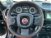Fiat 500L 1.3 Multijet 95 CV Dualogic Trekking  del 2017 usata a Massarosa (15)