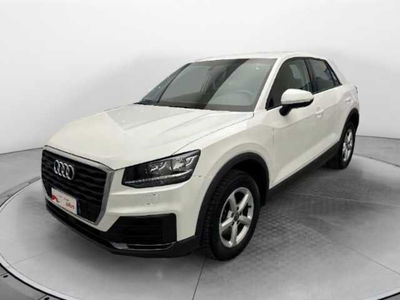 Audi Q2 35 2.0 tdi Business quattro s-tronic del 2019 usata a Pistoia