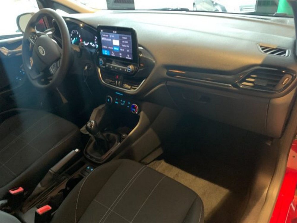 Ford Fiesta 1.1 75 CV 5 porte Business del 2020 usata a Torino (5)